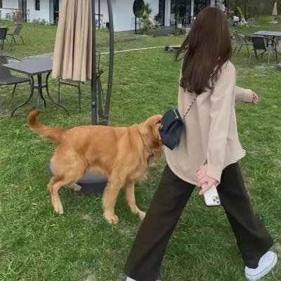 天籁之战第一季